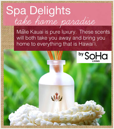 SoHa Living�o��I�܂��̓}���G�I�[�K�j�N�X�����Љ�܂�