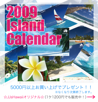 2009�N�A�C�����h�J�����_�[